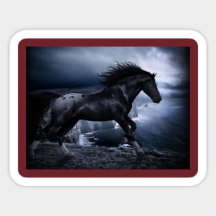 Black horse design of t-shirts Sticker